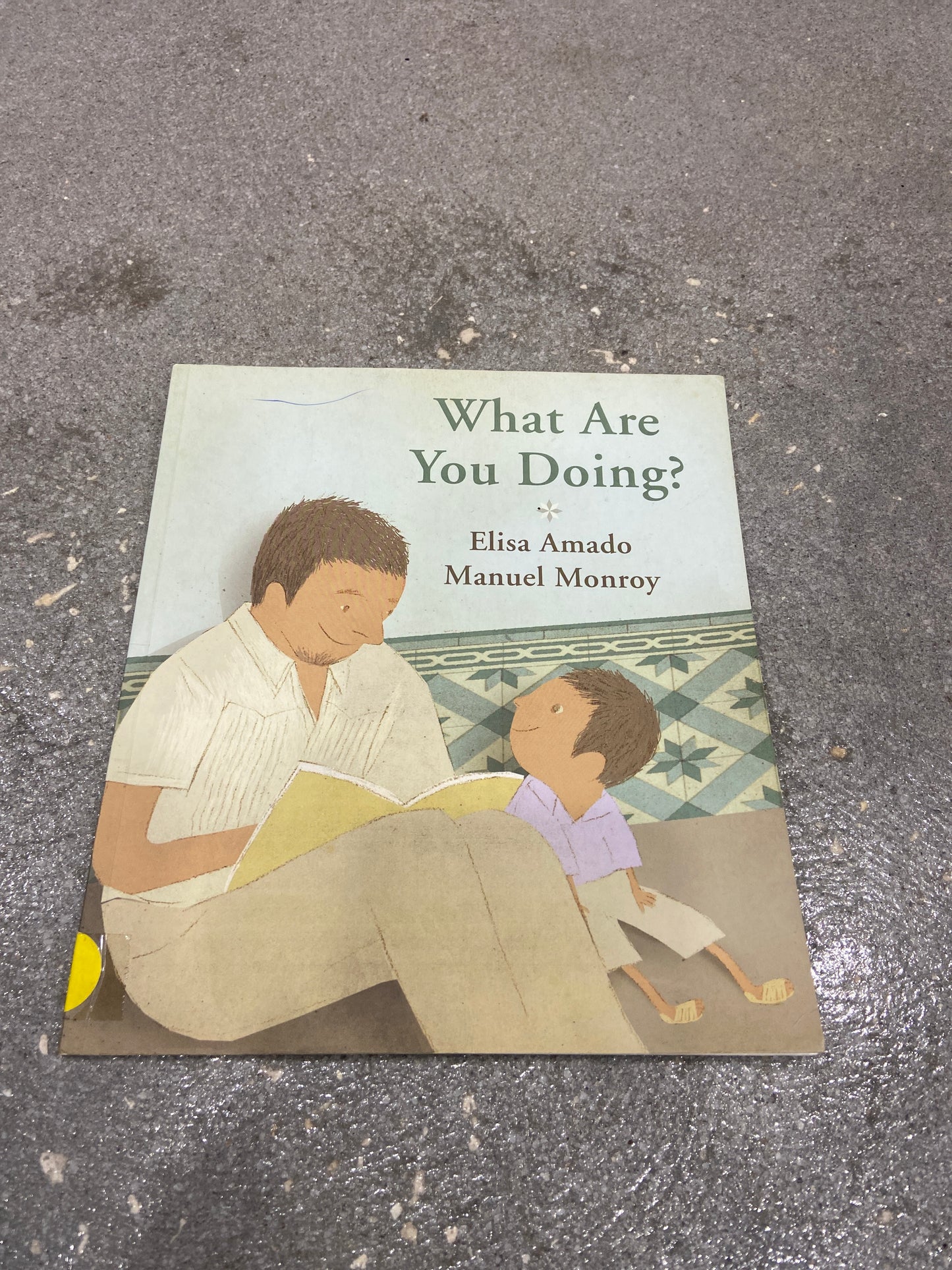 WHAT ARE YOU DOING BOOK