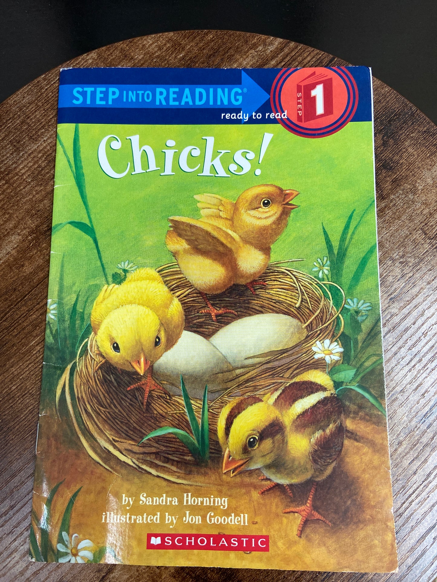 STEP INTO READING/ CHICKS!